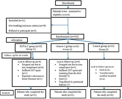 Evaluation of the combination effect of rutin and vitamin C supplementation on the oxidative stress and inflammation in hemodialysis patients